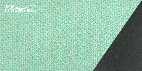 Double Polyester Neoprene Fabric