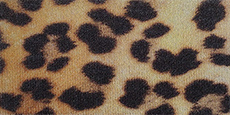 Yongsheng YOK Fabric (Yongsheng Velcro Plush) #16 Printed Camouflage